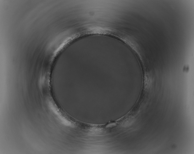 X0000111520581200907281341
