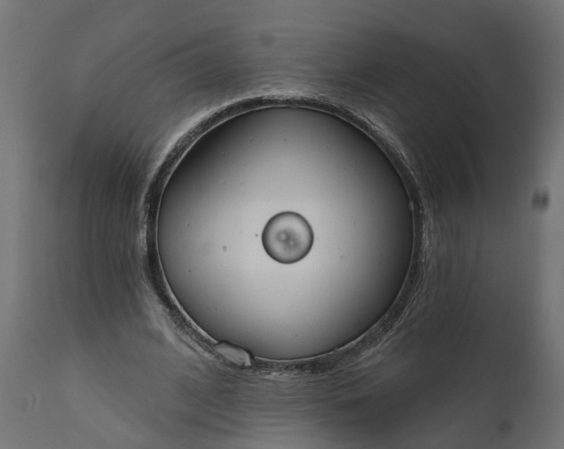 X0000111520584200907281341