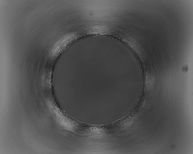 X0000111520585200907281341
