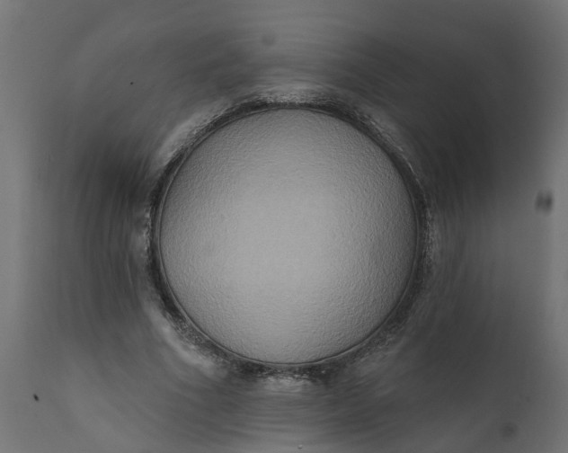 X0000111520586200907281341