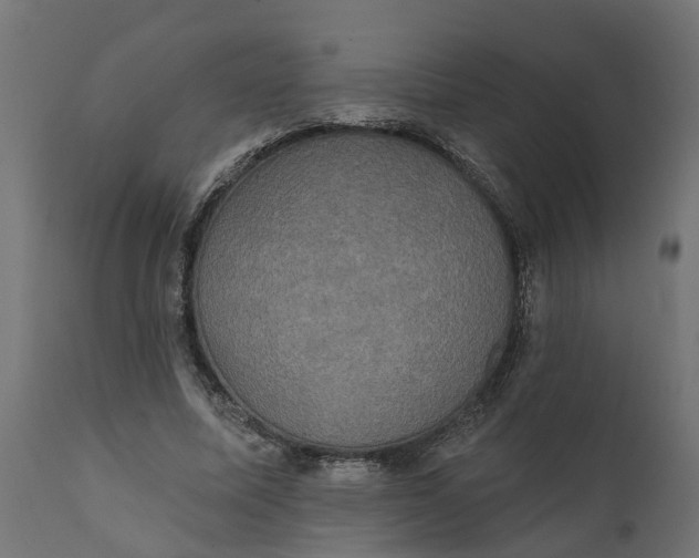 X0000111520587200907281340