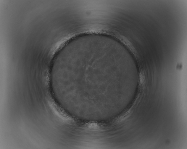 X0000111520588200907281340
