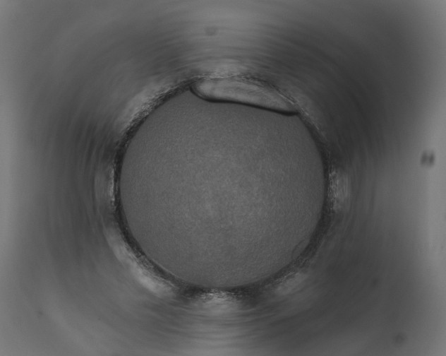 X0000111520589200907281340