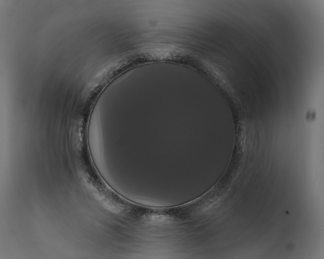 X0000111520590200907281340
