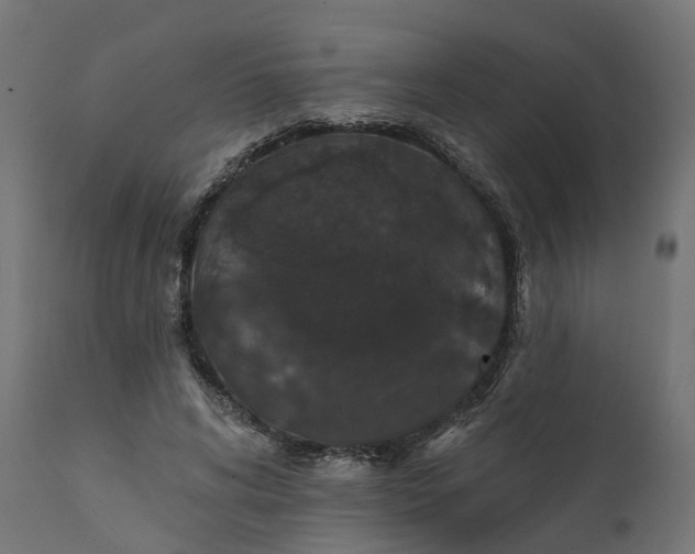 X0000111520592200907281340