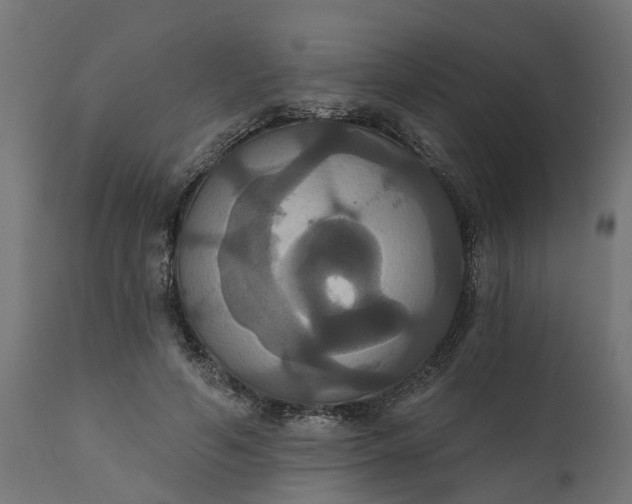 X0000111520594200907281340
