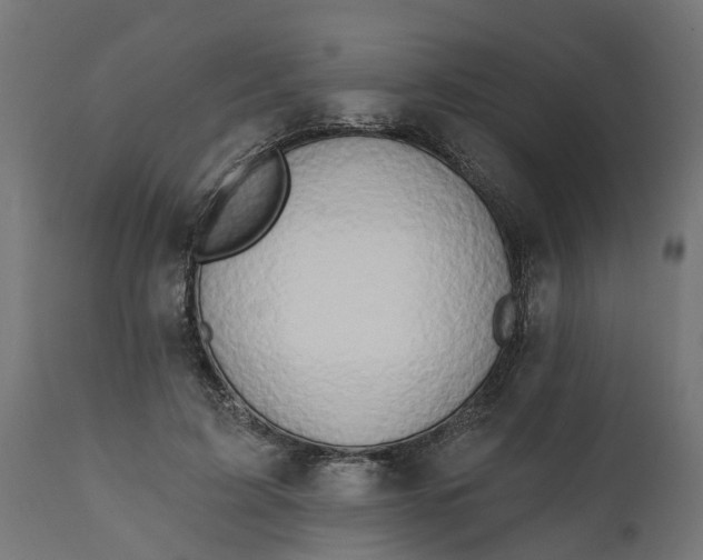 X0000111520595200907281340