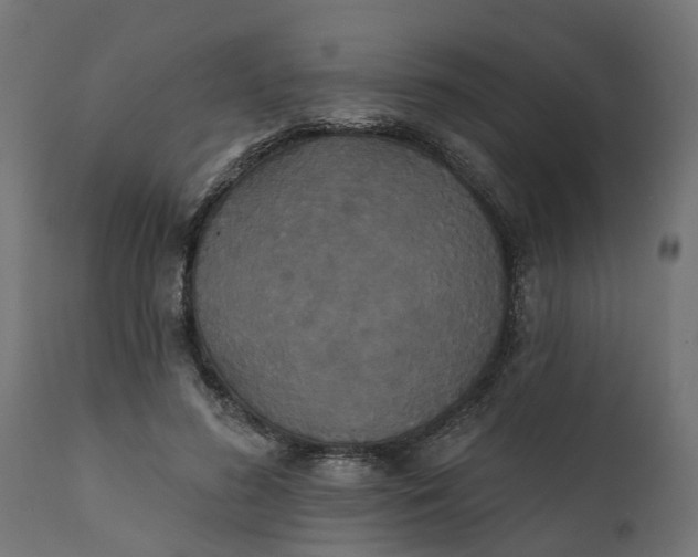 X0000111520596200907281340