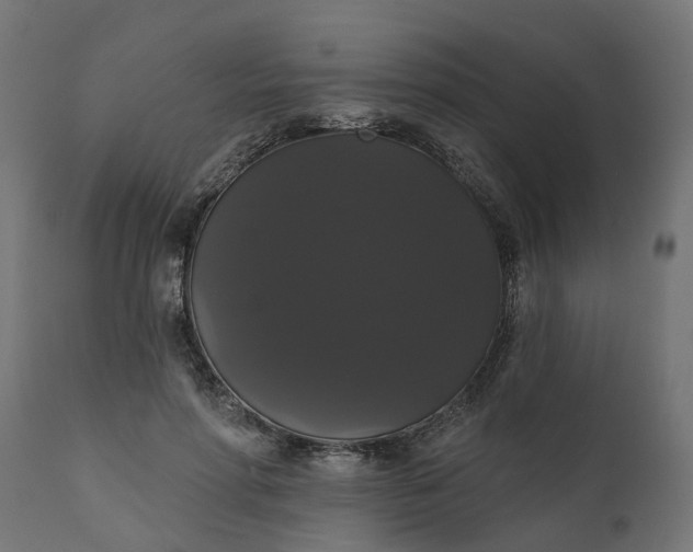 X0000111520598200907281340