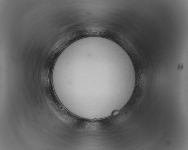 X0000111520599200907281340