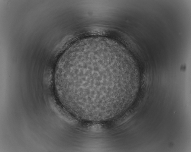 X0000111520600200907281340