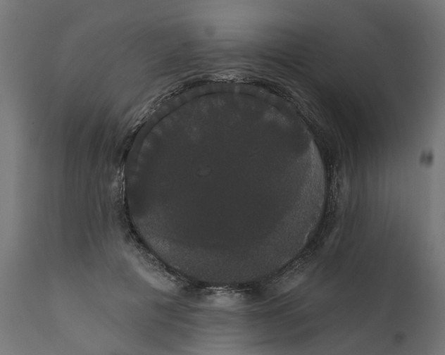 X0000111520601200907281340