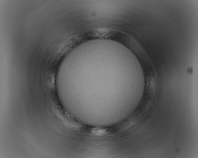 X0000111520602200907281340