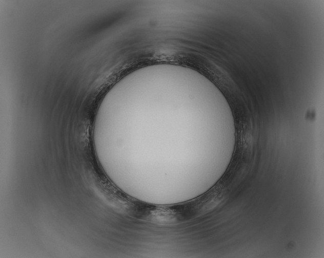 X0000111520603200907281340