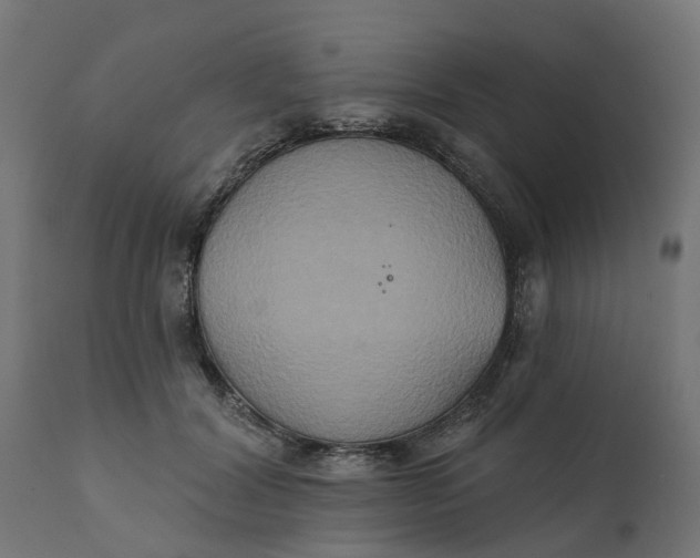 X0000111520604200907281340