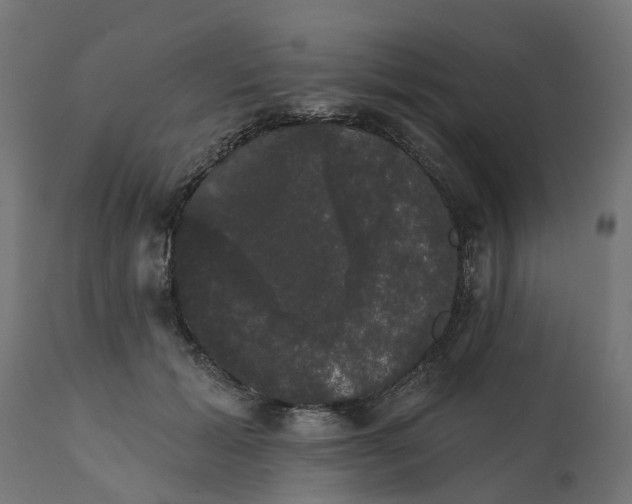 X0000111520605200907281340