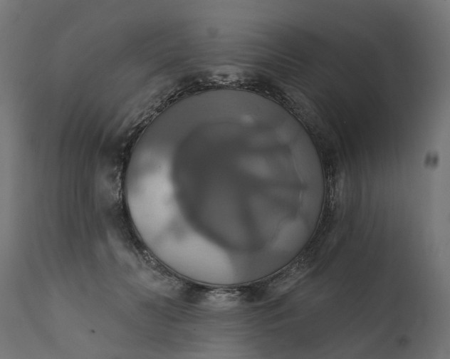 X0000111520606200907281340