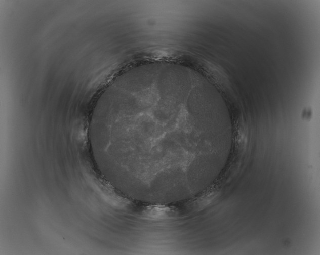 X0000111520607200907281340