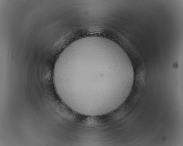 X0000111520608200907281340
