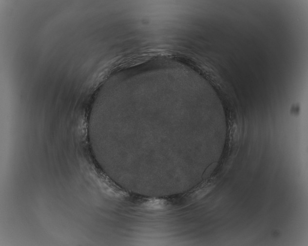X0000111520609200907281340
