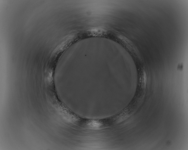 X0000111520610200907281340