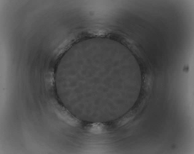 X0000111520612200907281340