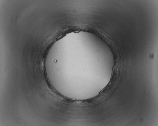 X0000111520613200907281340