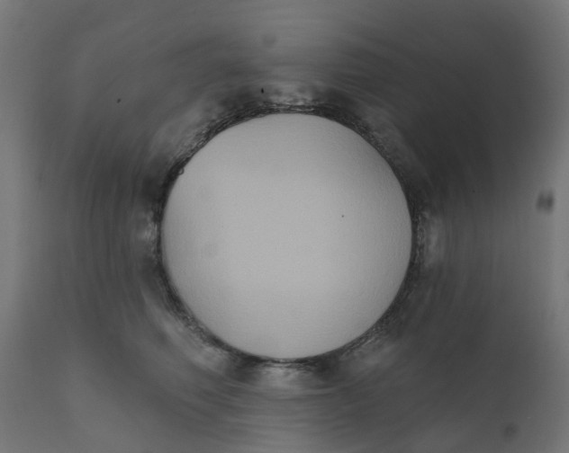 X0000111520614200907281340