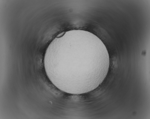 X0000111520615200907281340