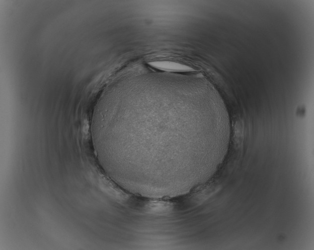 X0000111520617200907281340