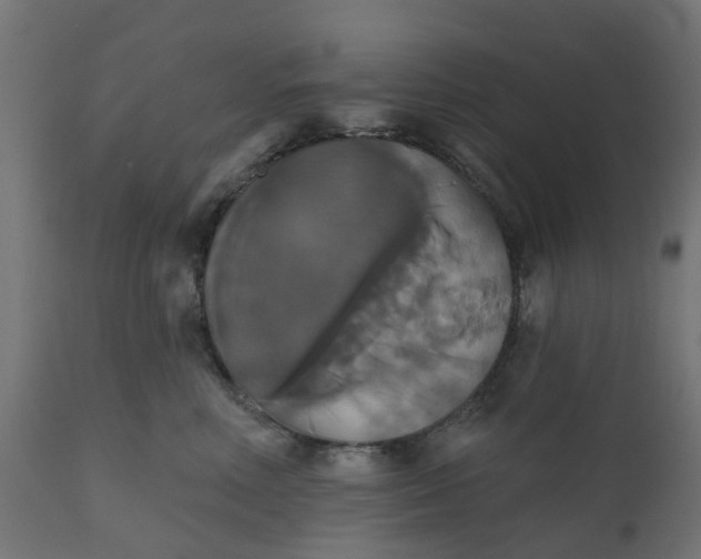 X0000111520618200907281340