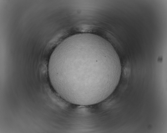 X0000111520620200907281340