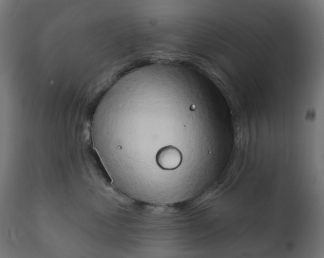 X0000111520621200907281340