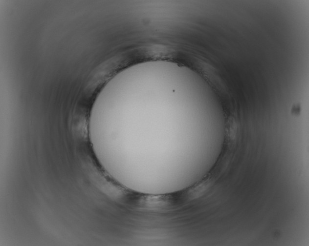 X0000111520622200907281340