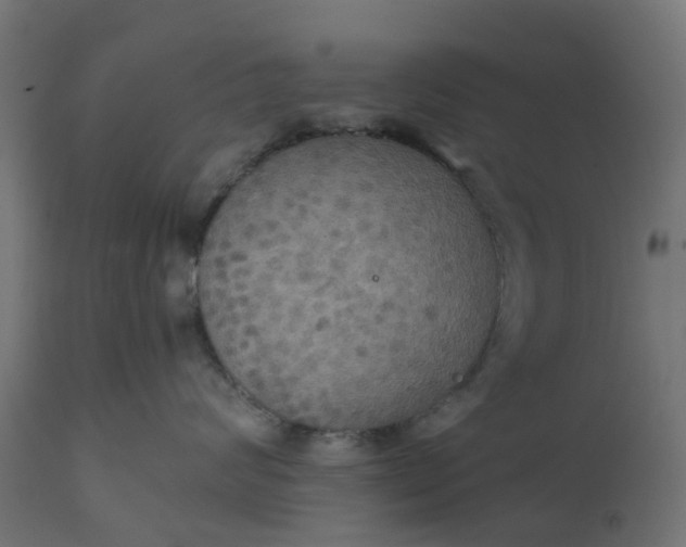 X0000111520624200907281340