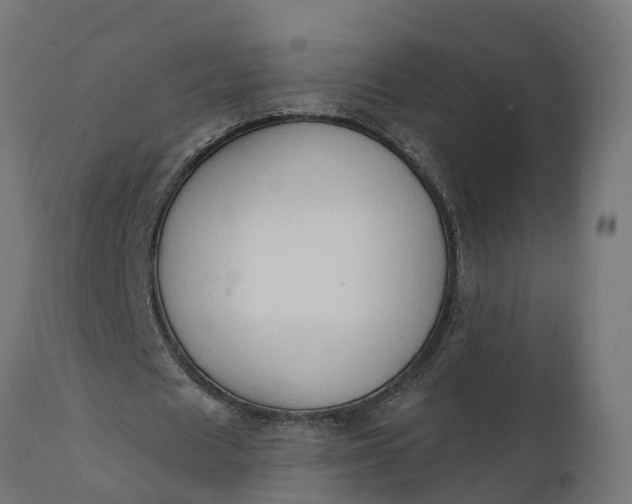 X0000111520625200907281339