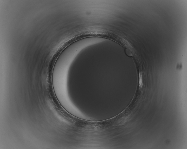 X0000111520627200907281339