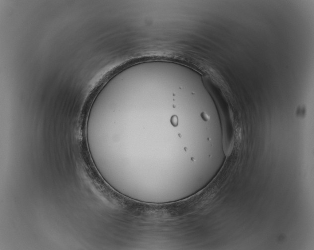 X0000111520628200907281339