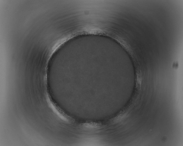 X0000111520630200907281339