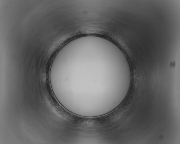 X0000111520631200907281339