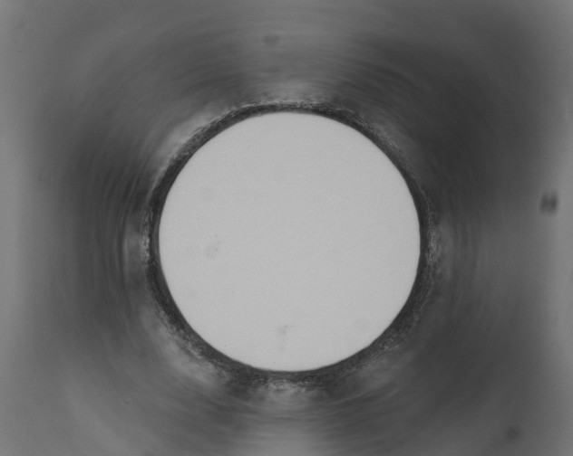 X0000111520632200907281339