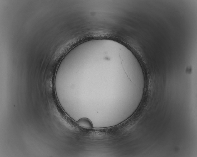 X0000111520633200907281339