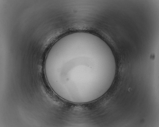 X0000111520635200907281339