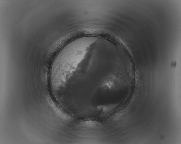 X0000111520637200907281339