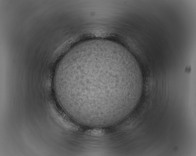 X0000111520639200907281340
