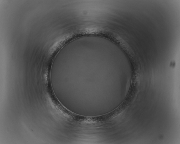 X0000111520640200907281340