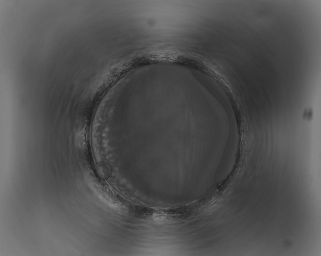 X0000111520641200907281340