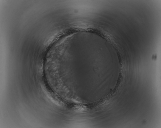 X0000111520642200907281340