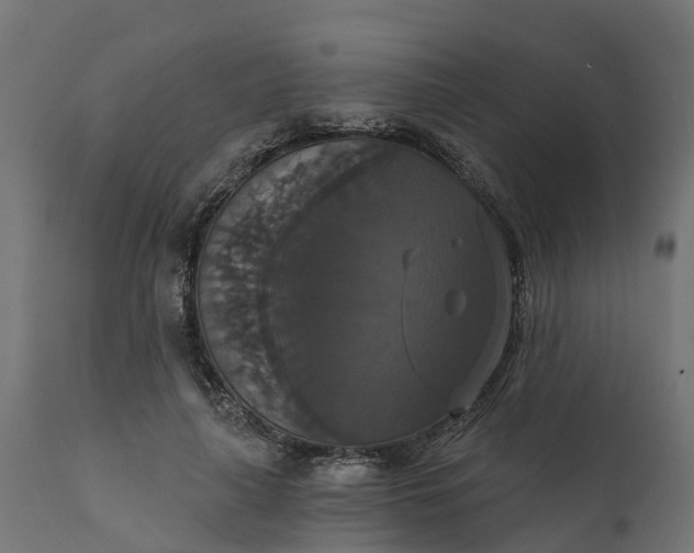 X0000111520643200907281340