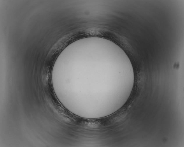 X0000111520645200907281340